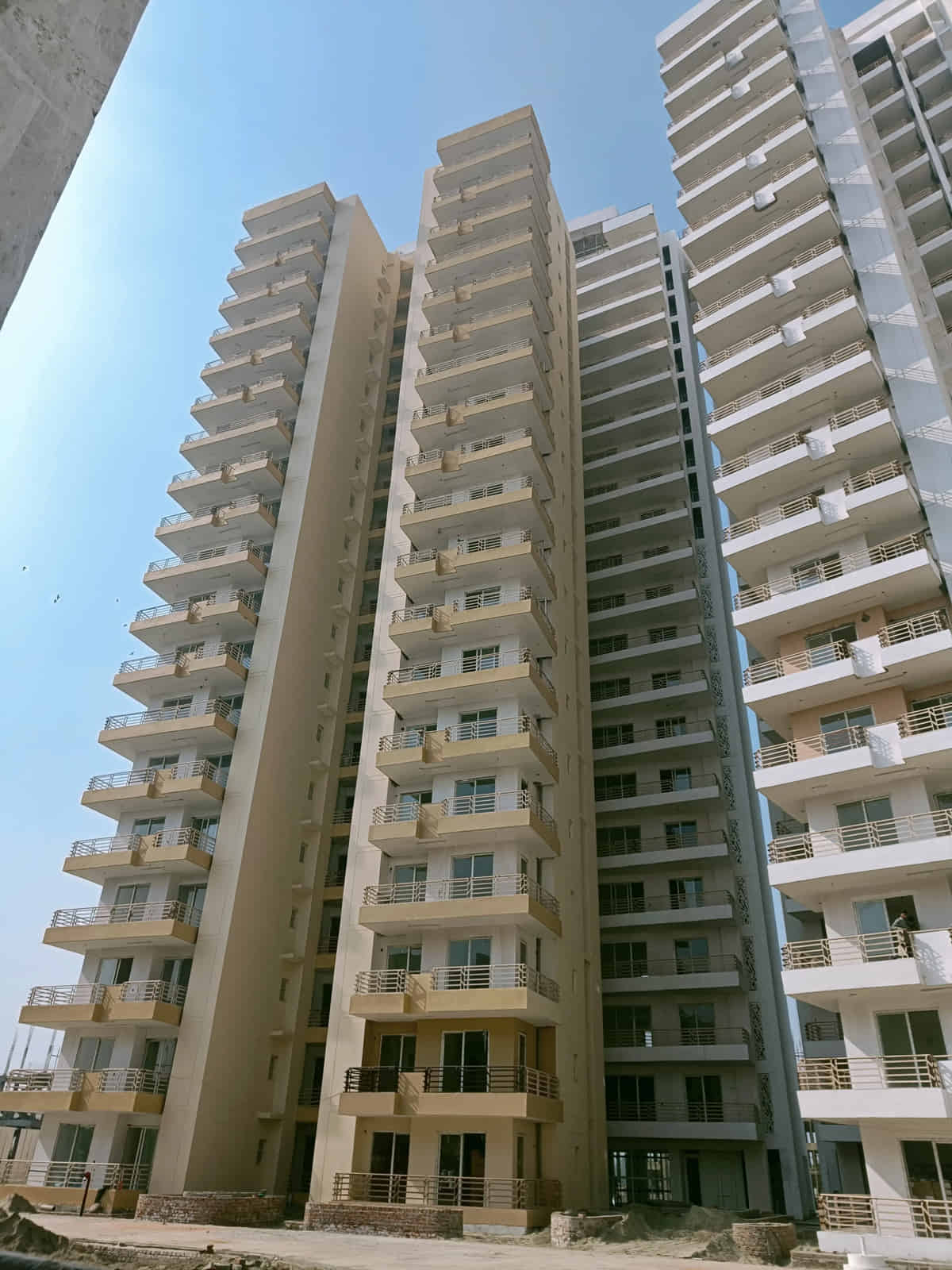 Solitairian city Noida